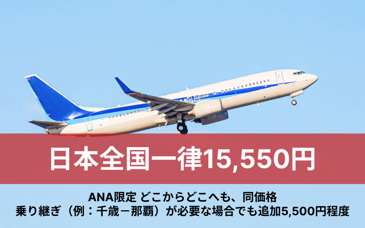全国一律激安航空券購入、詳しくはこちらから
